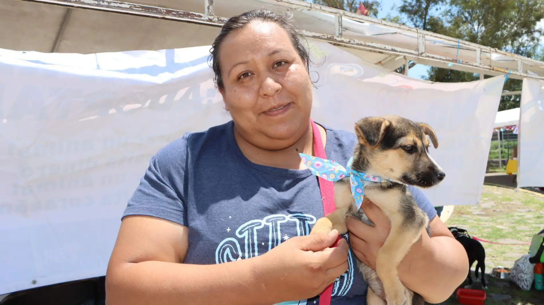 Paloma al rescate de animales en situación de calle